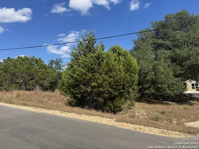 217 Breeze Pt Fischer, TX 78623
