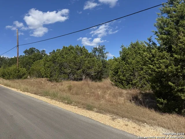217 Breeze Pt Fischer, TX 78623