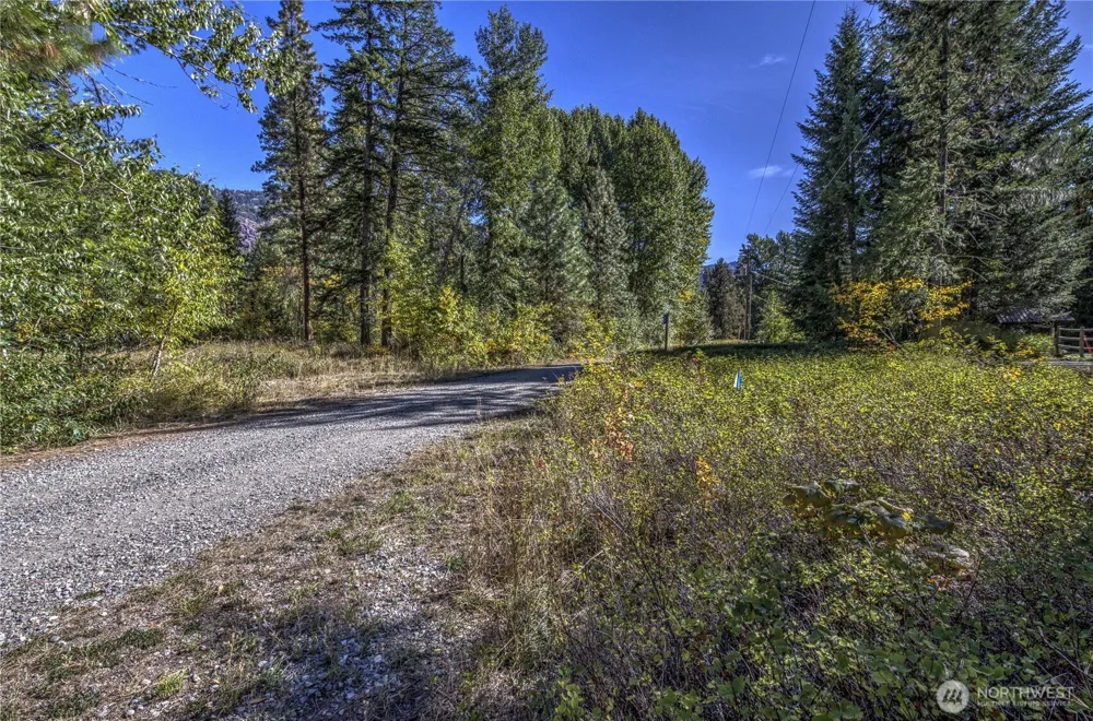 26 Mercer Road Mazama, WA 98833