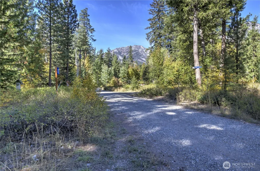 26 Mercer Road Mazama, WA 98833