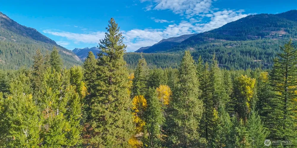 26 Mercer Road Mazama, WA 98833