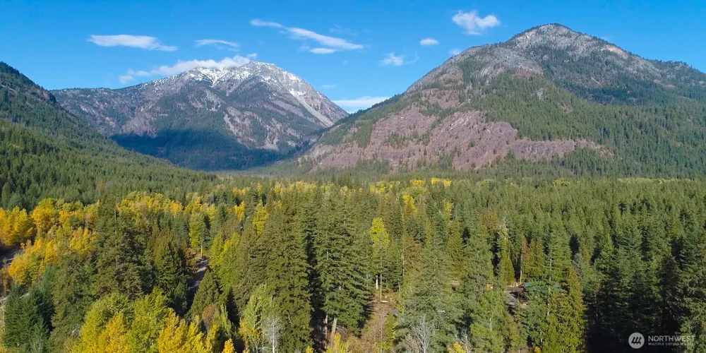 26 Mercer Road Mazama, WA 98833