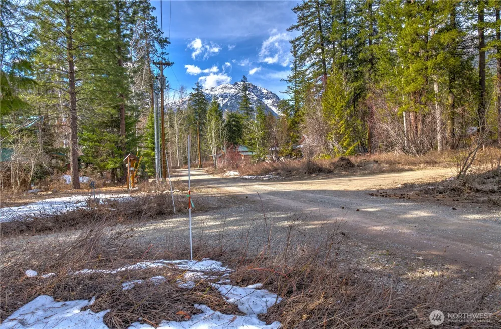 26 Mercer Road Mazama, WA 98833