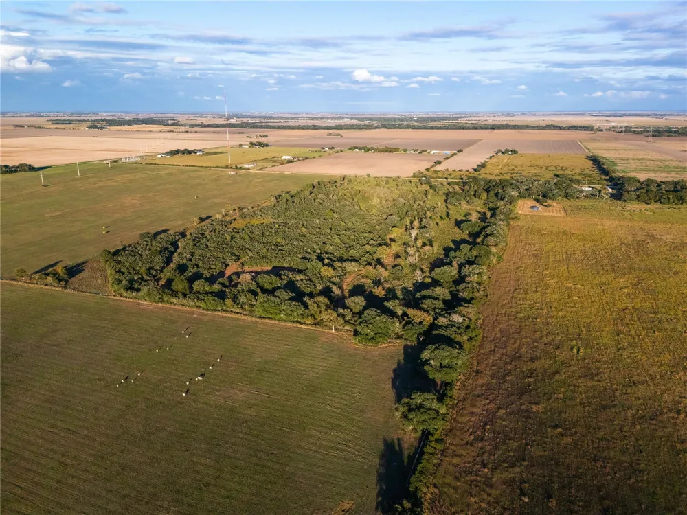 County Road 325 Louise, TX 77455