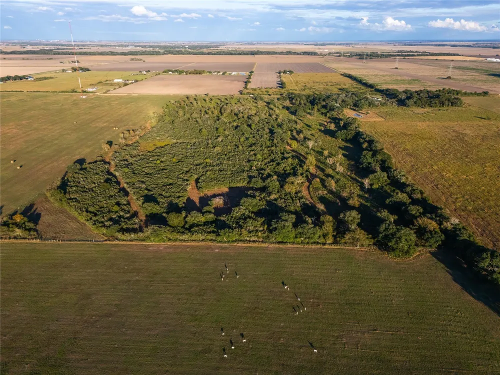 County Road 325 Louise, TX 77455