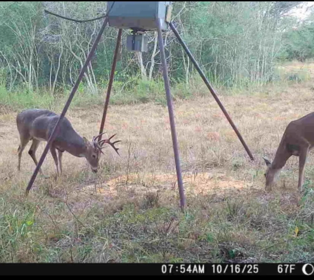 County Road 325 Louise, TX 77455