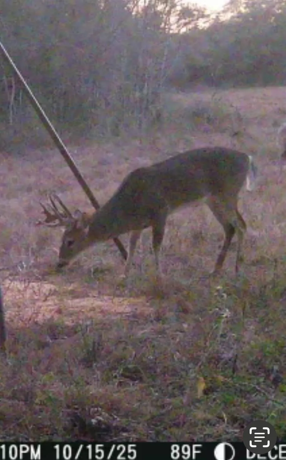 County Road 325 Louise, TX 77455