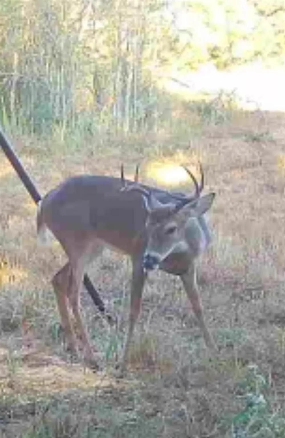 County Road 325 Louise, TX 77455