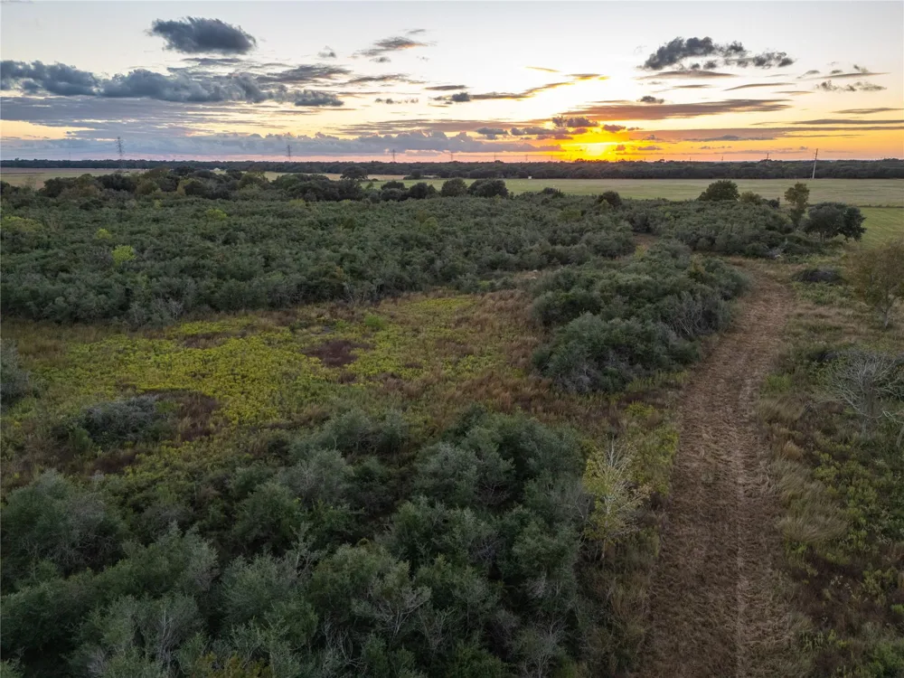County Road 325 Louise, TX 77455