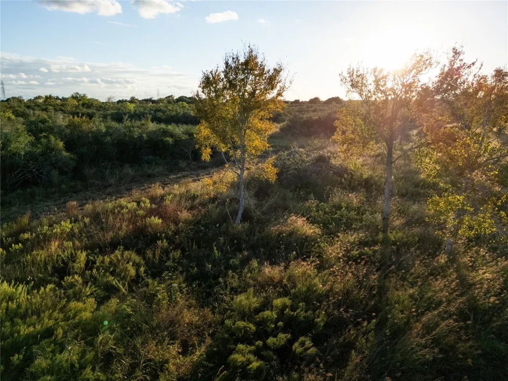 County Road 325 Louise, TX 77455