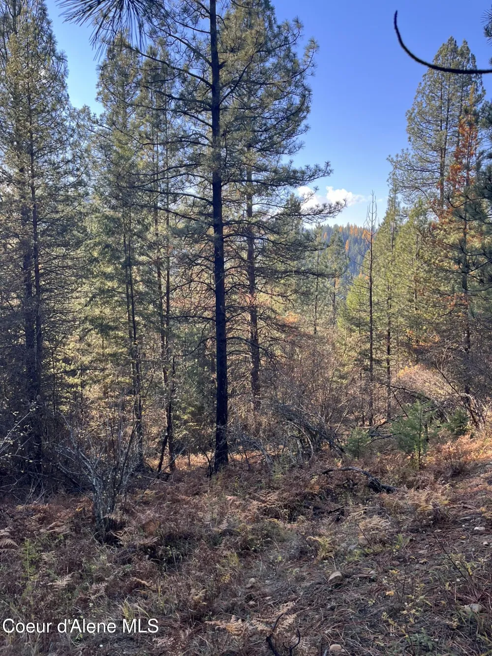 30.91acs French Gulch Road Kingston, ID 83839
