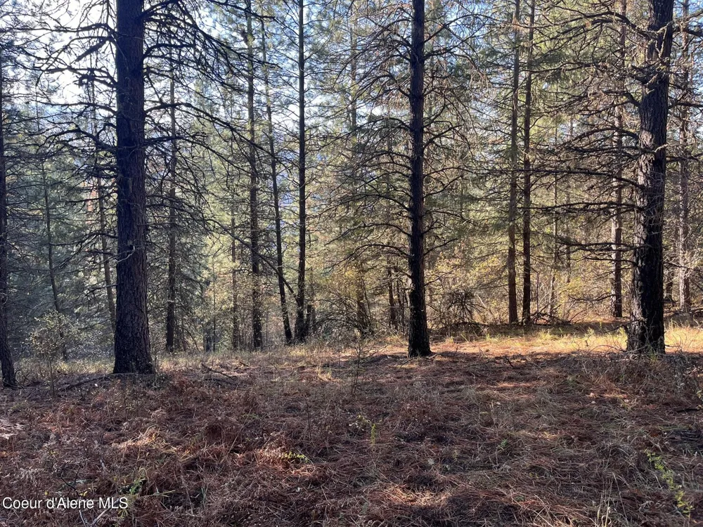 30.91acs French Gulch Road Kingston, ID 83839
