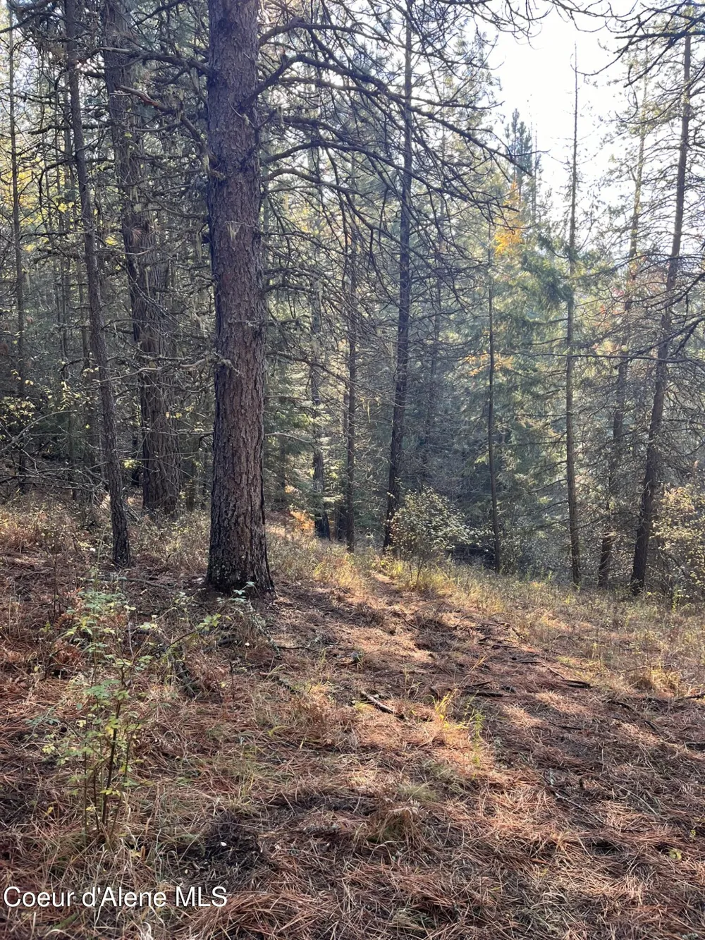 30.91acs French Gulch Road Kingston, ID 83839