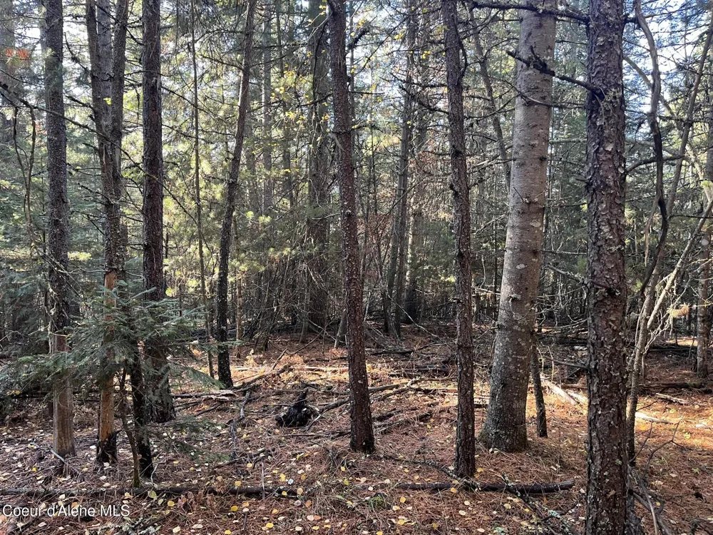 30.91acs French Gulch Road Kingston, ID 83839