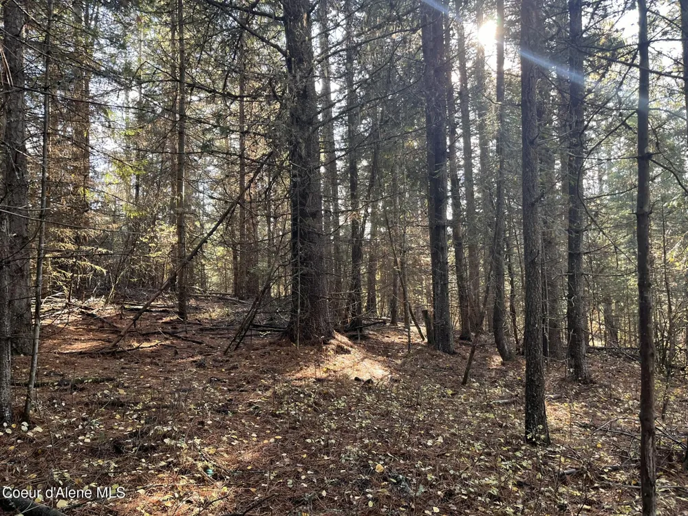 30.91acs French Gulch Road Kingston, ID 83839