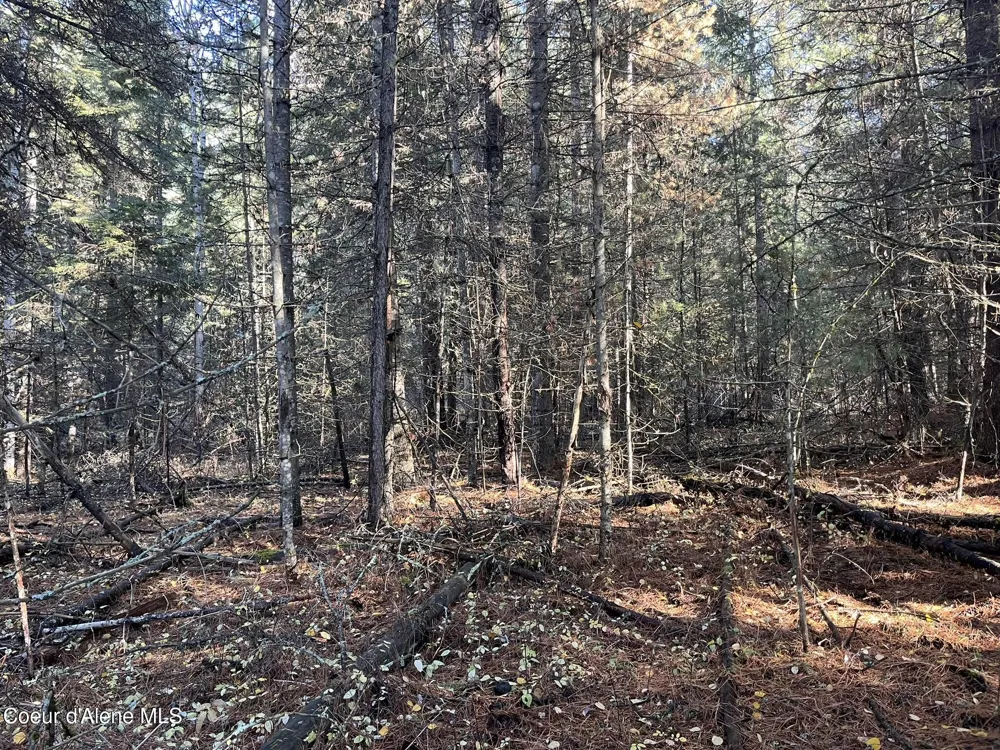 30.91acs French Gulch Road Kingston, ID 83839