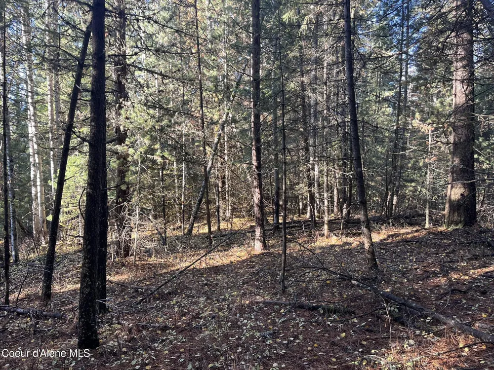 30.91acs French Gulch Road Kingston, ID 83839
