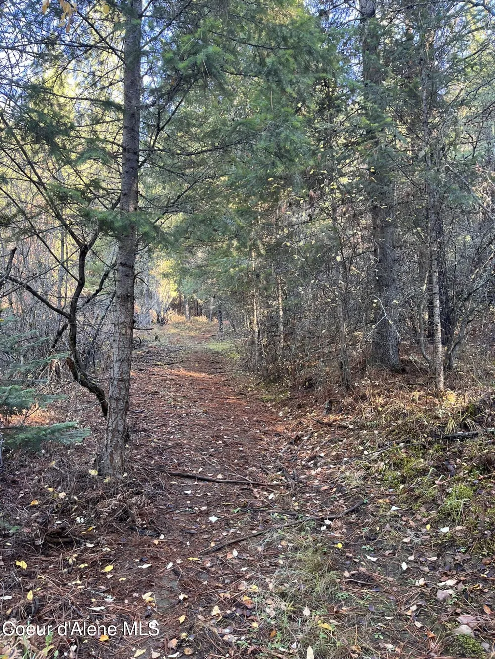 30.91acs French Gulch Road Kingston, ID 83839