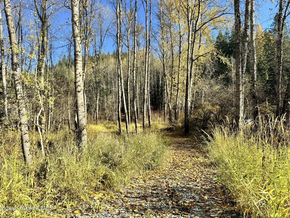 30.91acs French Gulch Road Kingston, ID 83839