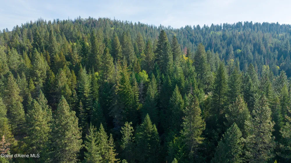 30.91acs French Gulch Road Kingston, ID 83839