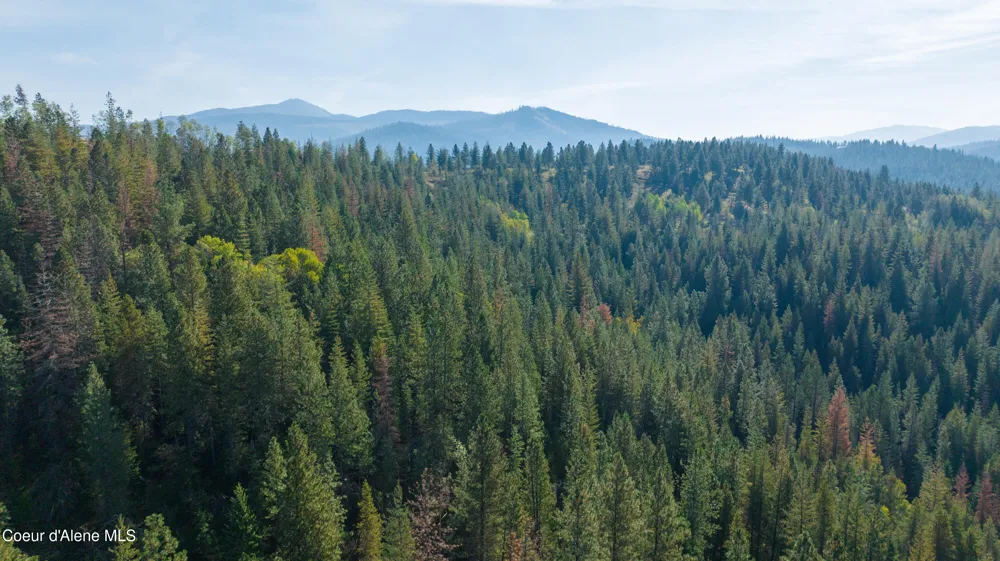 30.91acs French Gulch Road Kingston, ID 83839