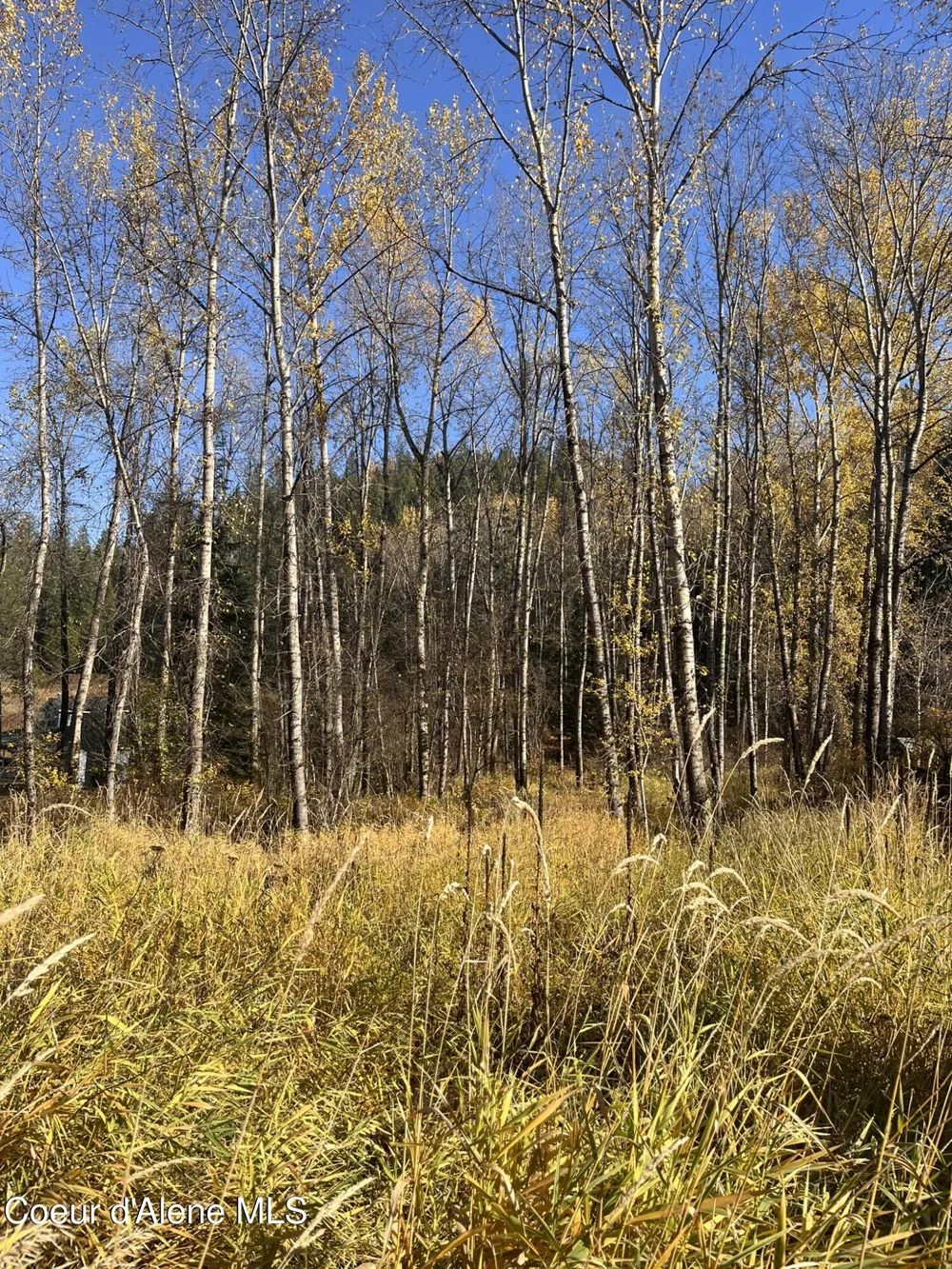 30.91acs French Gulch Road Kingston, ID 83839