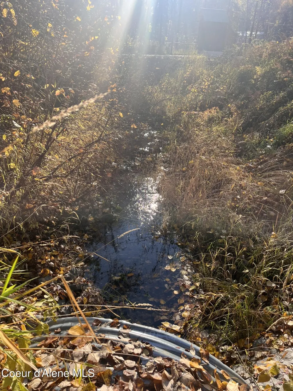 30.91acs French Gulch Road Kingston, ID 83839