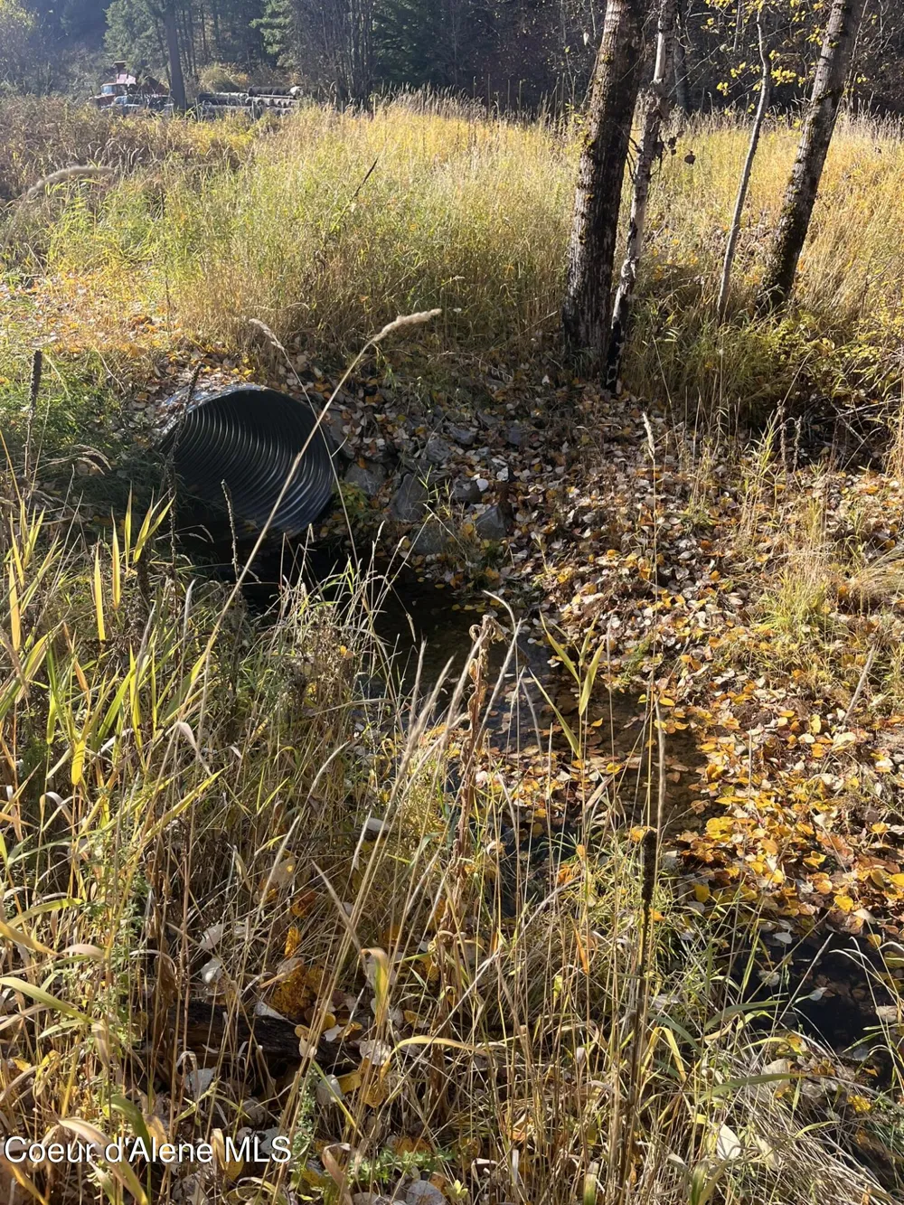 30.91acs French Gulch Road Kingston, ID 83839
