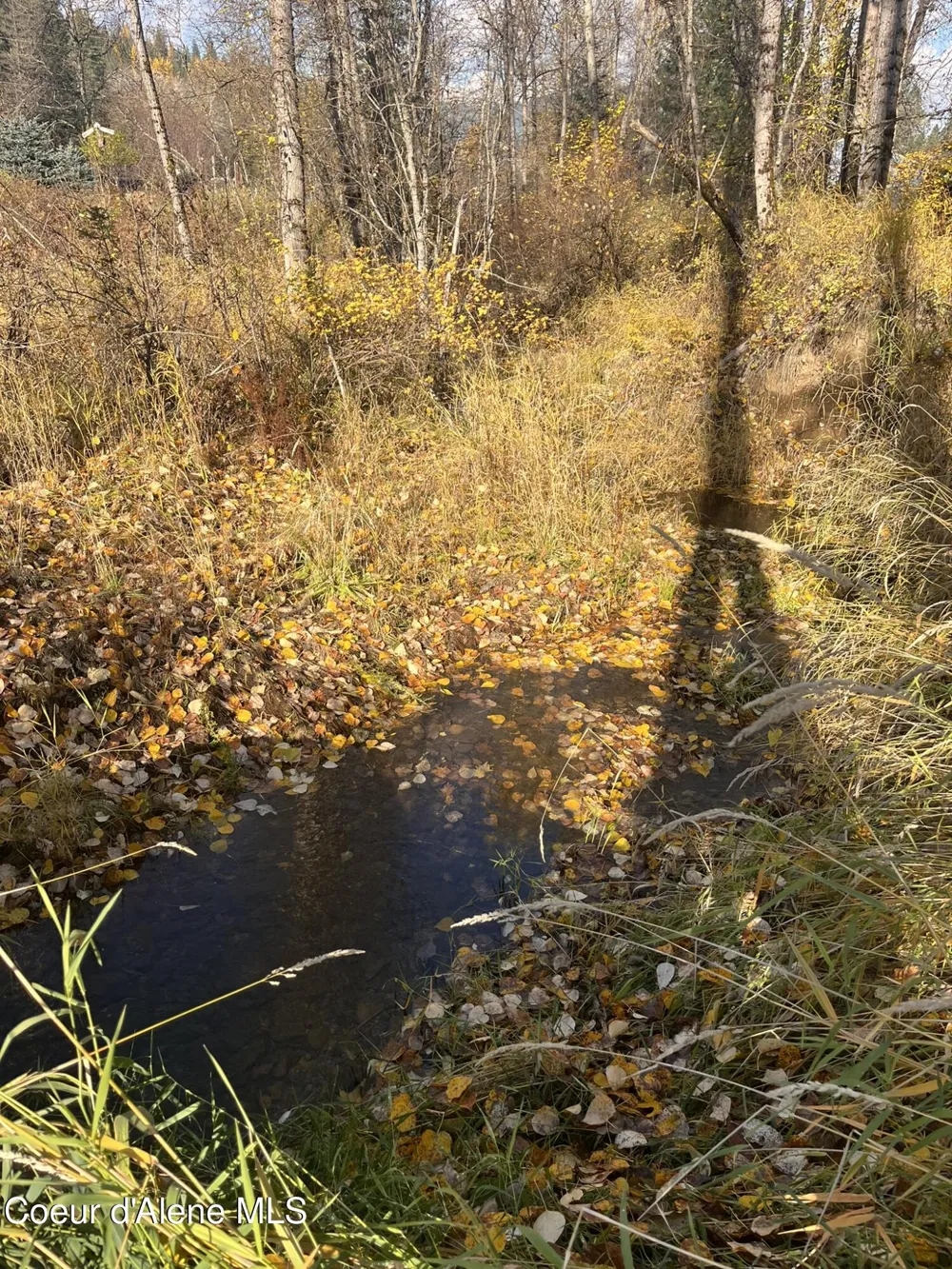 30.91acs French Gulch Road Kingston, ID 83839