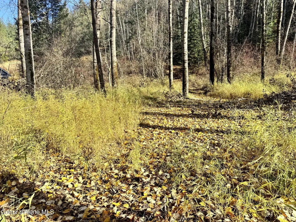 30.91acs French Gulch Road Kingston, ID 83839
