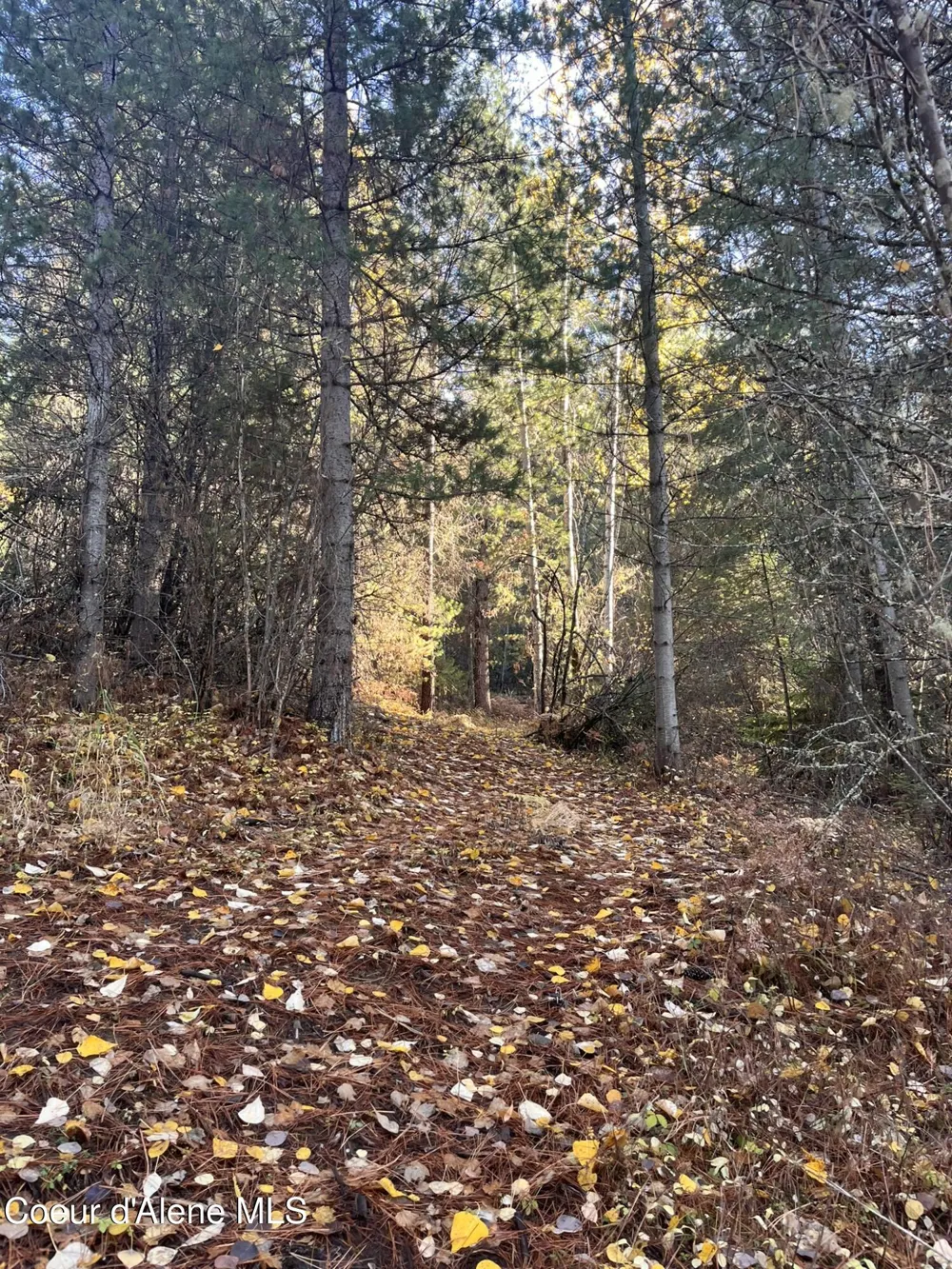 30.91acs French Gulch Road Kingston, ID 83839