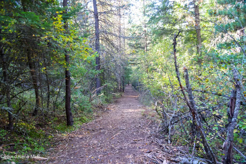 30.91acs French Gulch Road Kingston, ID 83839