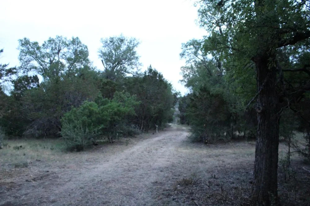 4209 Rock Canyon Cove Marble Falls, TX 78654