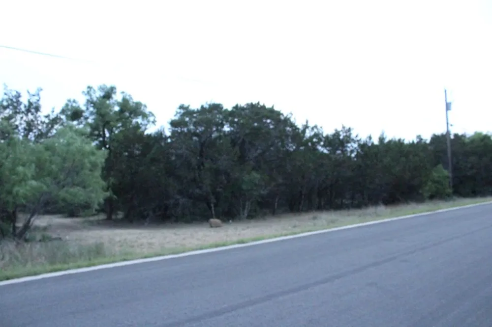 4209 Rock Canyon Cove Marble Falls, TX 78654