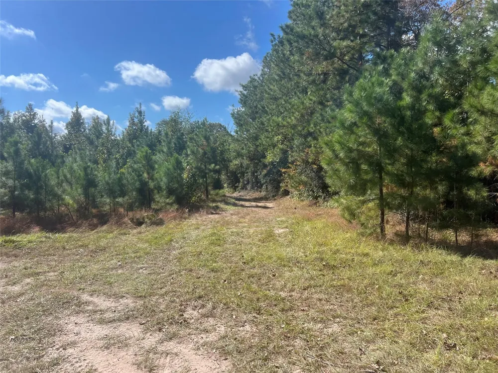 4304 Farm Market 352 Corrigan, TX 75939
