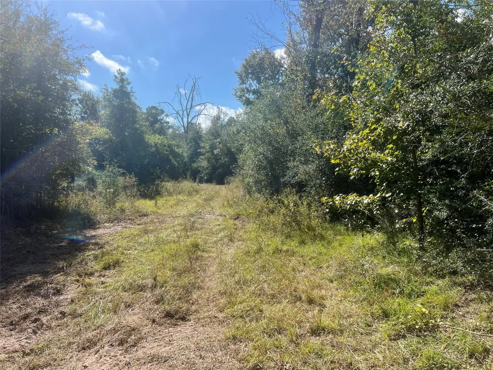 4304 Farm Market 352 Corrigan, TX 75939