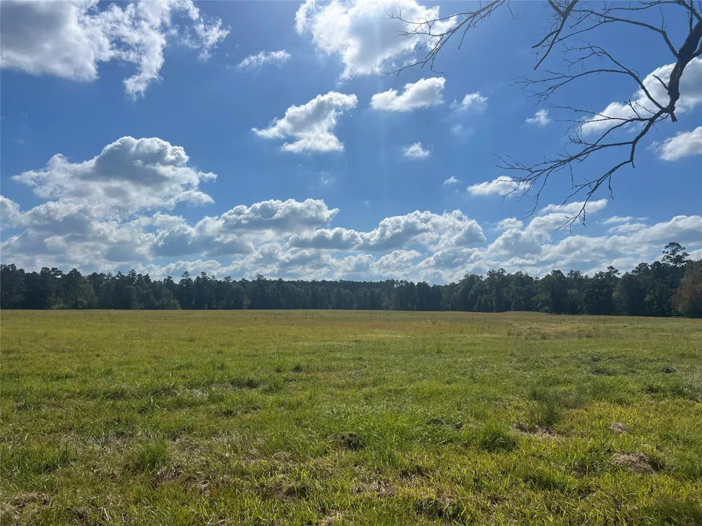 4304 Farm Market 352 Corrigan, TX 75939