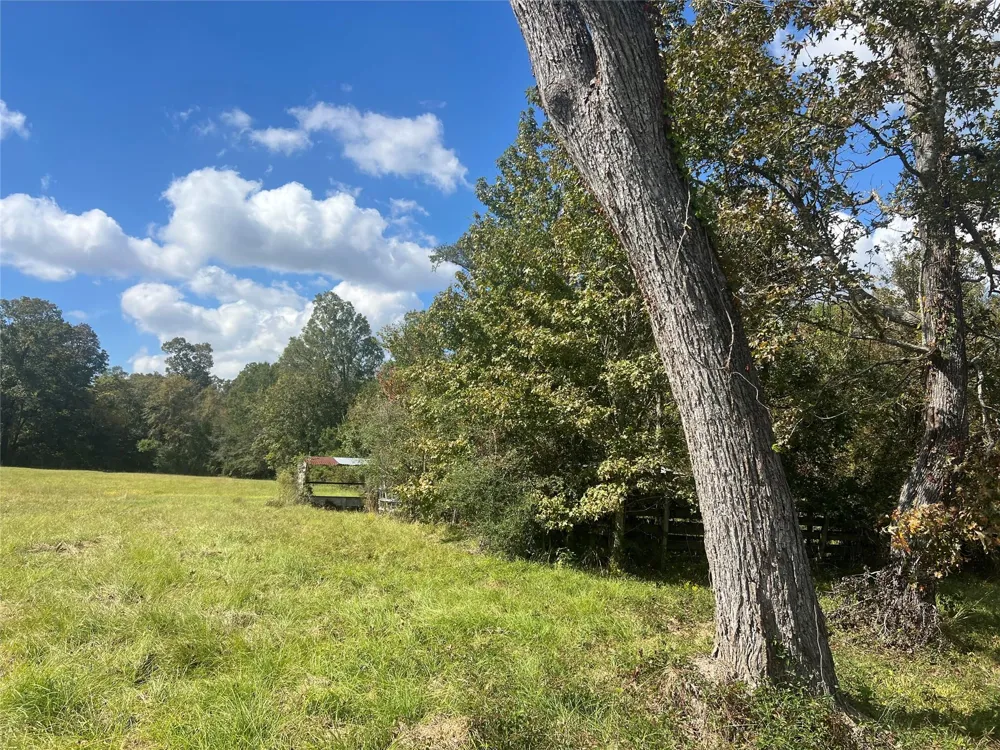 4304 Farm Market 352 Corrigan, TX 75939