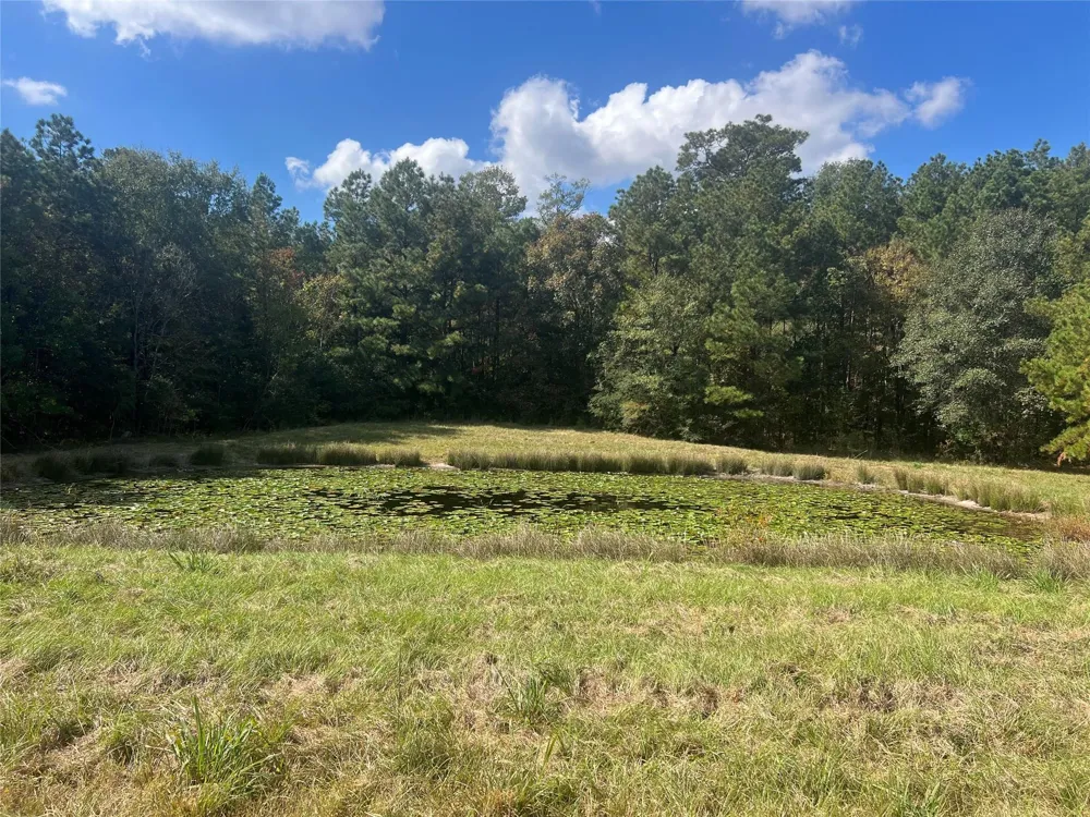 4304 Farm Market 352 Corrigan, TX 75939