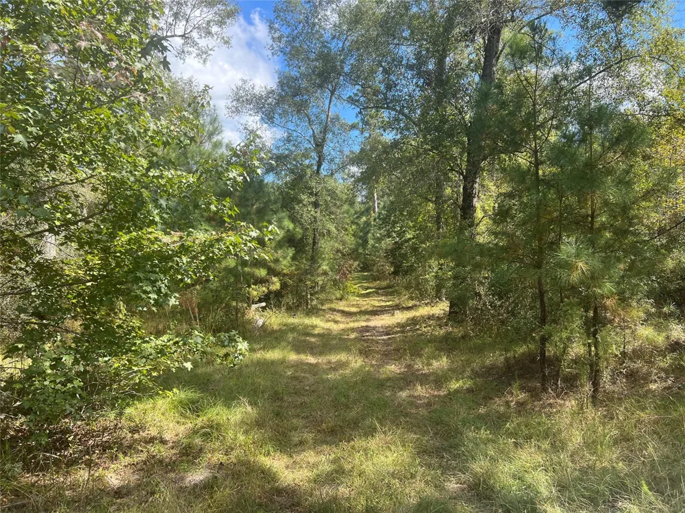 4304 Farm Market 352 Corrigan, TX 75939