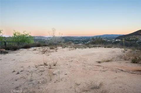 6 Vista Del Bosque