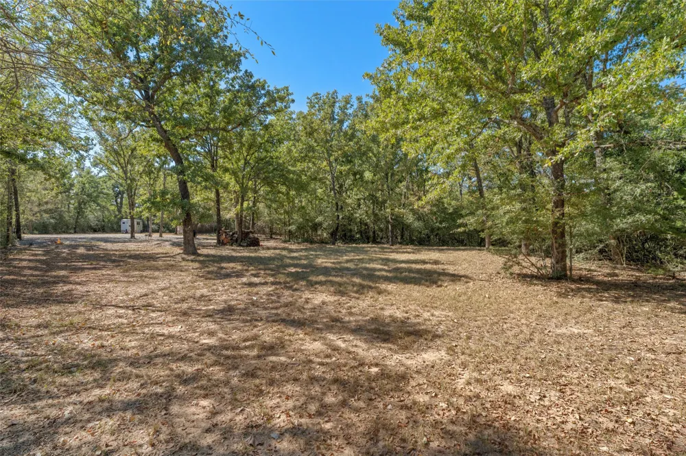 19597 Staceys Landing Road Thornton, TX 76687