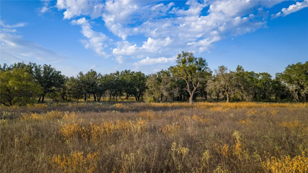 8500 Buck Ridge Drive Brady, TX 76858