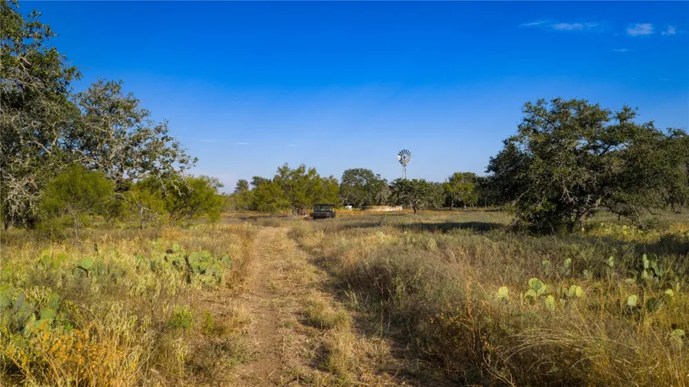 8500 Buck Ridge Drive Brady, TX 76858