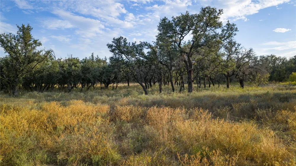 8500 Buck Ridge Drive Brady, TX 76858