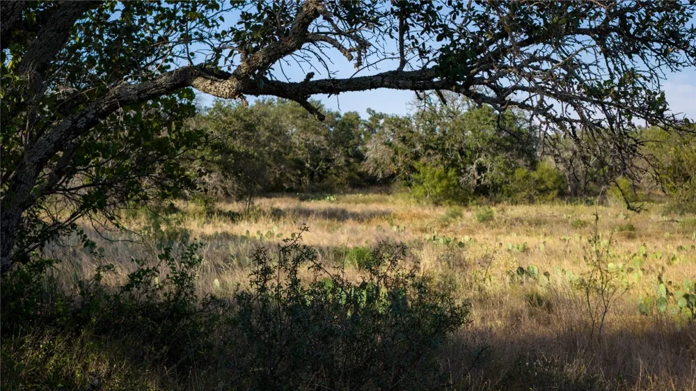 8500 Buck Ridge Drive Brady, TX 76858
