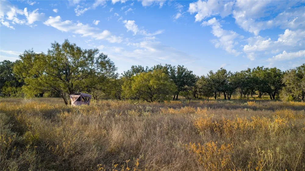 8500 Buck Ridge Drive Brady, TX 76858