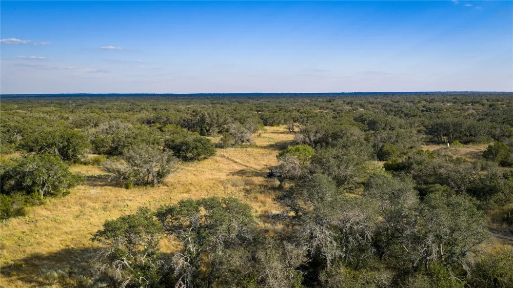 8500 Buck Ridge Drive Brady, TX 76858