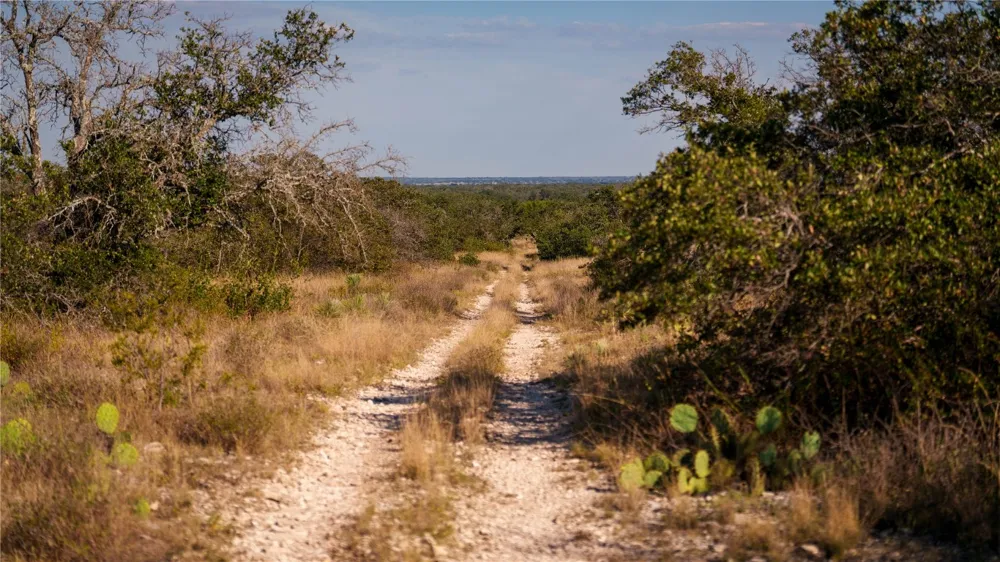 8500 Buck Ridge Drive Brady, TX 76858