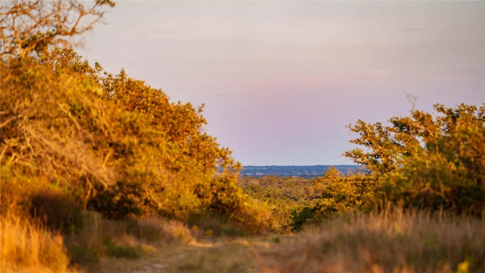 8500 Buck Ridge Drive Brady, TX 76858